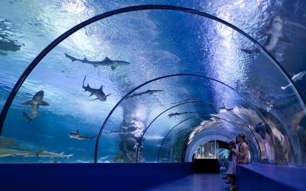Alanya'dan Akvaryum Turu